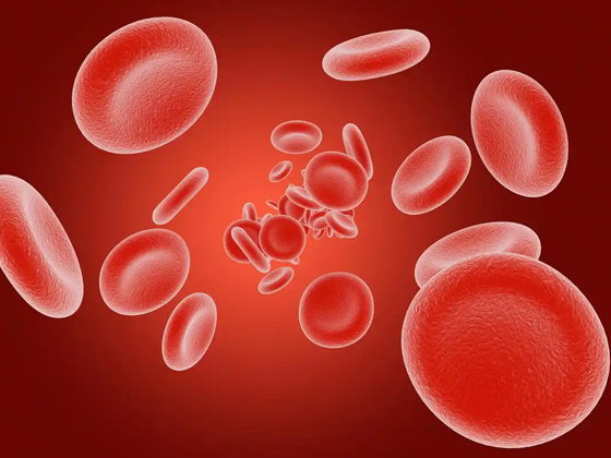 血小板的重要性与作用