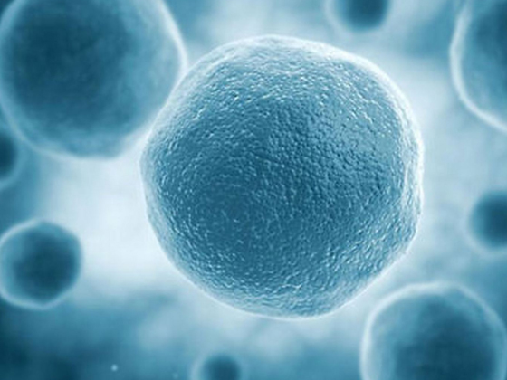 细胞：一剂灵丹妙药