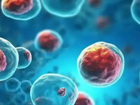 细胞的神奇科学