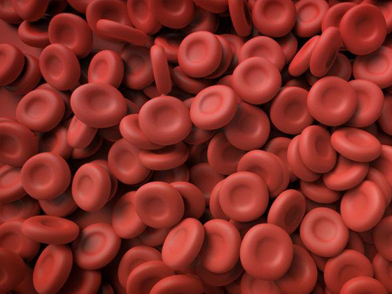 血小板的性质与功能研究